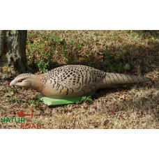 Natur Foam PHEASANT - HEN